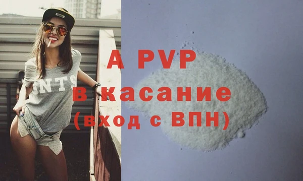 стаф Алексин