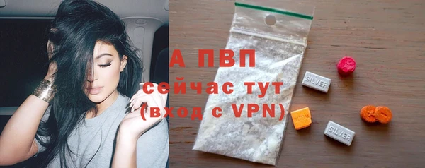 стаф Алексин