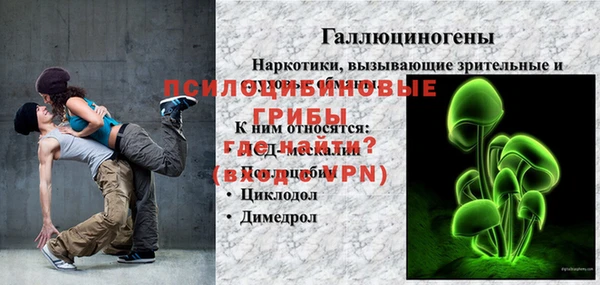 стаф Алексин