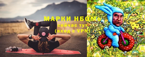 стаф Алексин