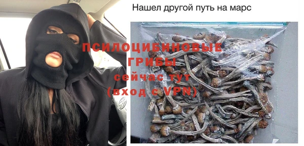 стаф Алексин