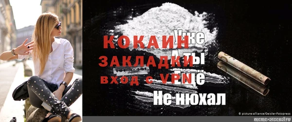 стаф Алексин